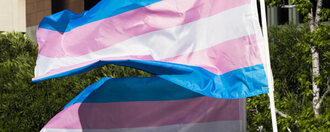 #TDOV: Van glamrock tot electropop, representatie van trans personen in muziek