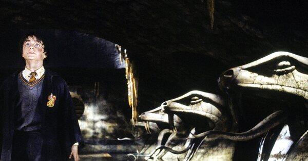 Koning Der Slangen Harry Potter