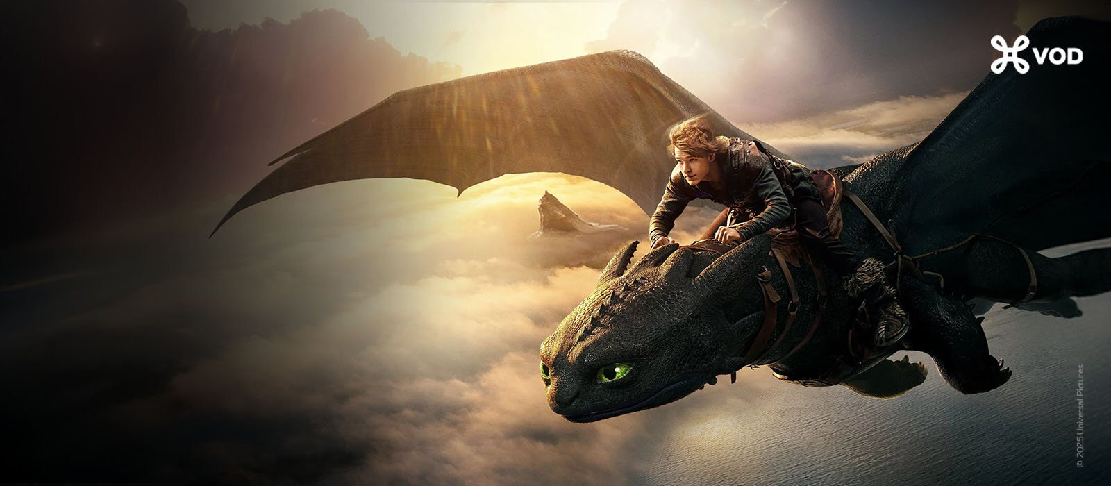 How to Train Your Dragon