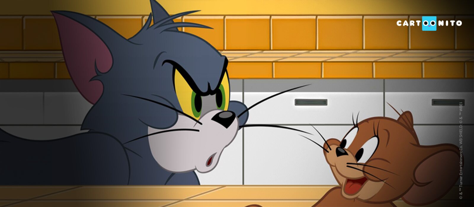 Wij houden van Tom en Jerry!